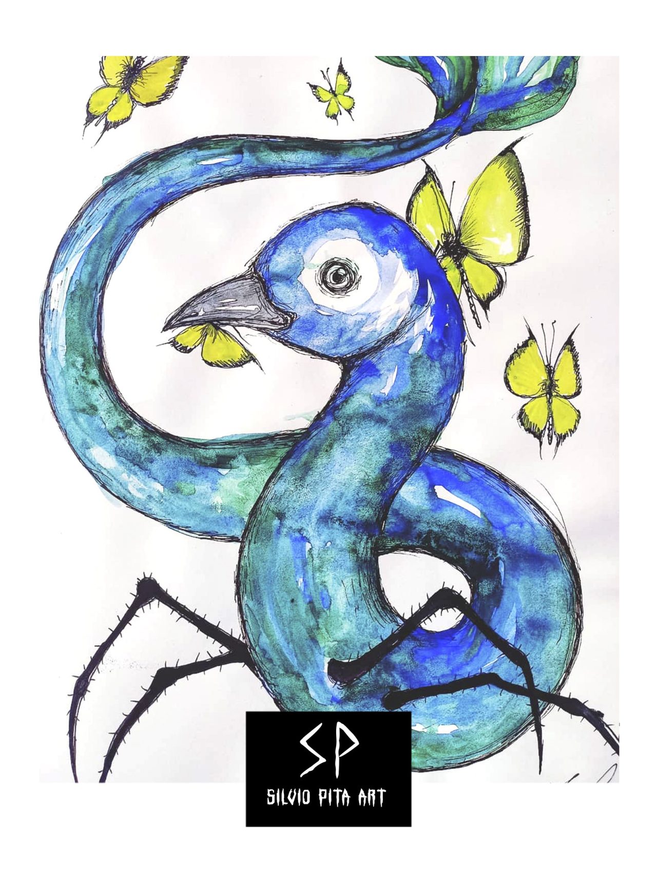 SILVIO_PITA_PEACOCKDREAM